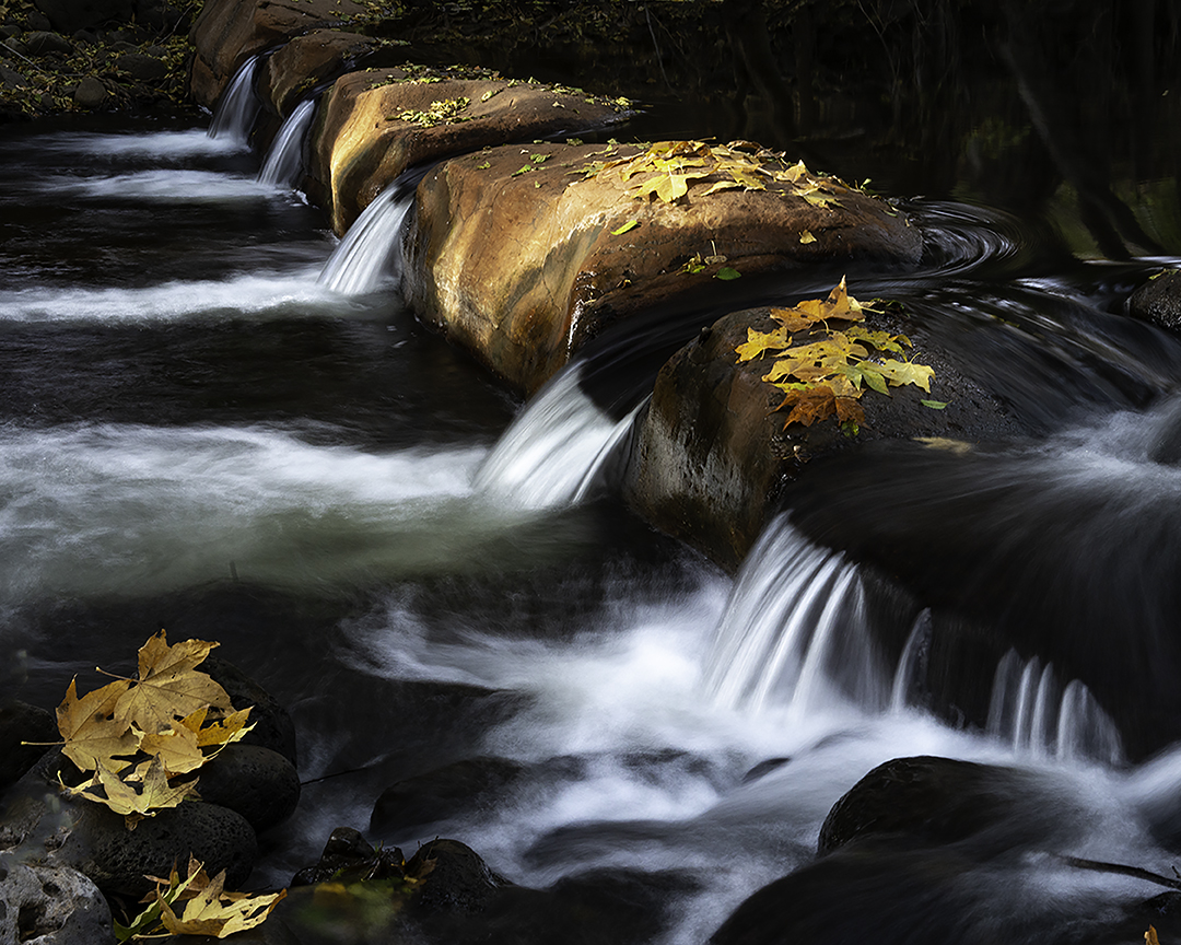 Wet Beaver Creek.jpg