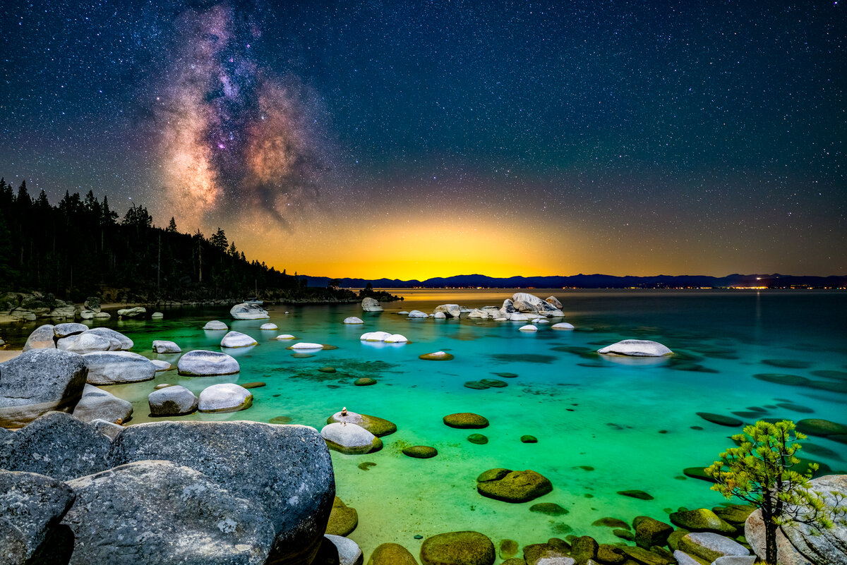 Whale-Beach-MW.jpg