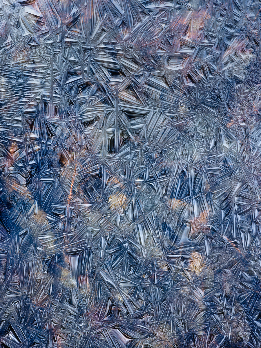 Wharton_Ice-2.jpg