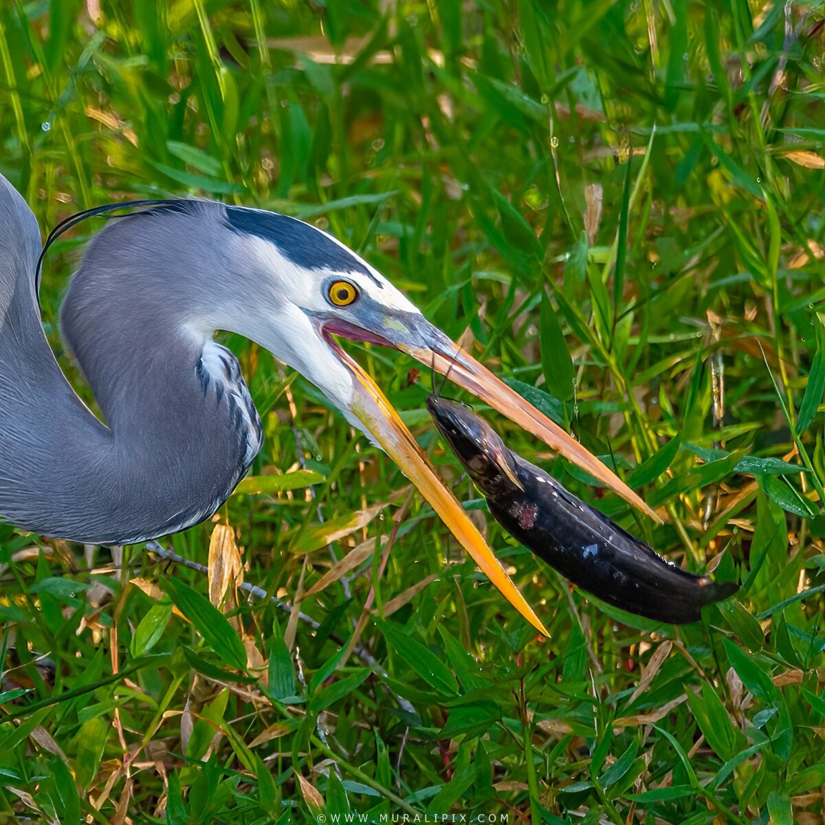 WhatsApp Image 2025-02-12 at 07.11.07_52579985.jpg