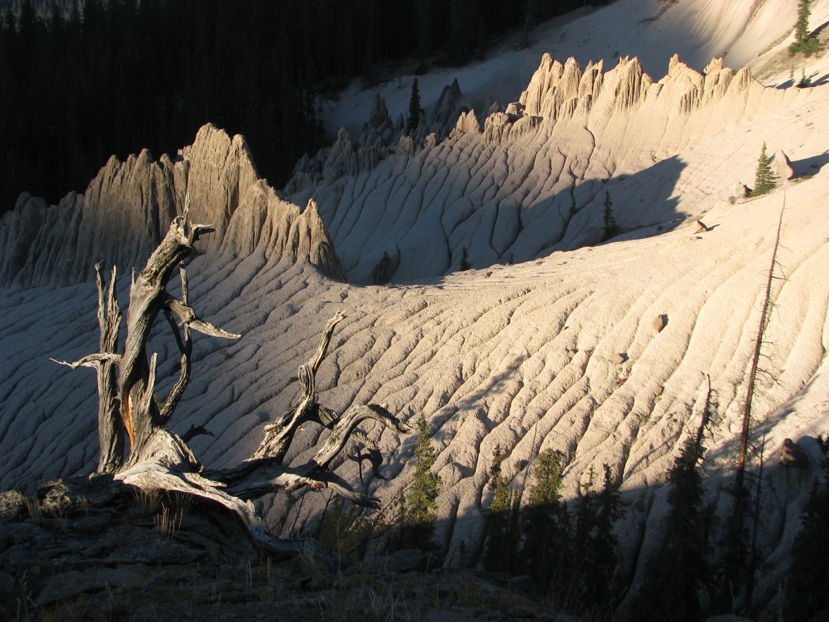 Wheeler Geologic Area 031.jpg