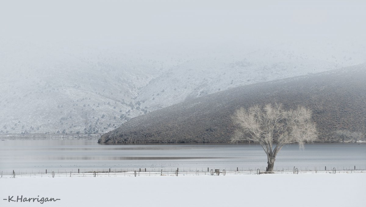 Winter Postcard.jpg