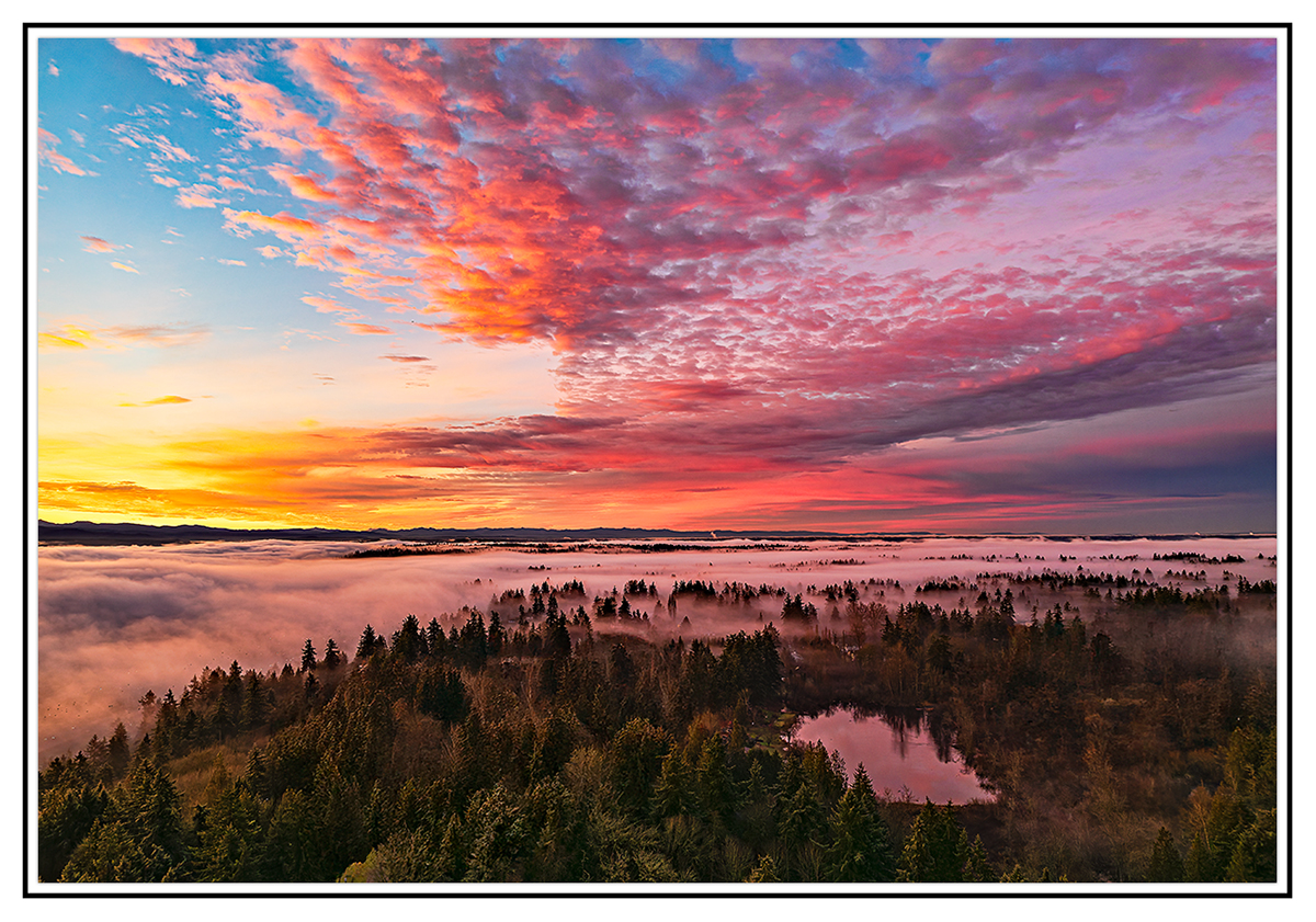 Winter Sunrise.jpg