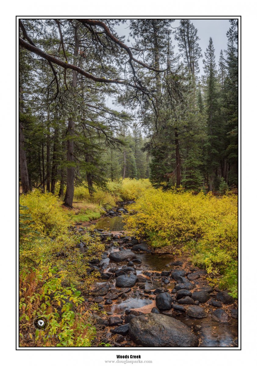 Woods Creek.jpg