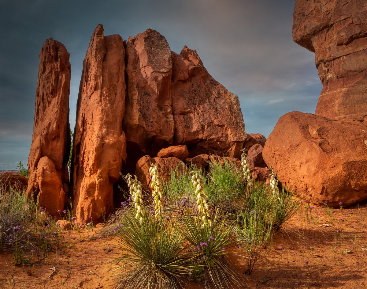 Yuccas and Rocks-62-Edit.jpg