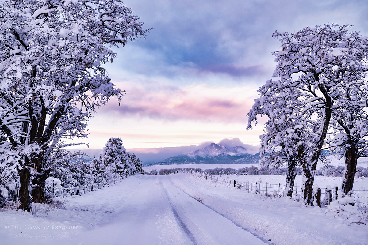 Z09_3579-2 copy 2.jpg