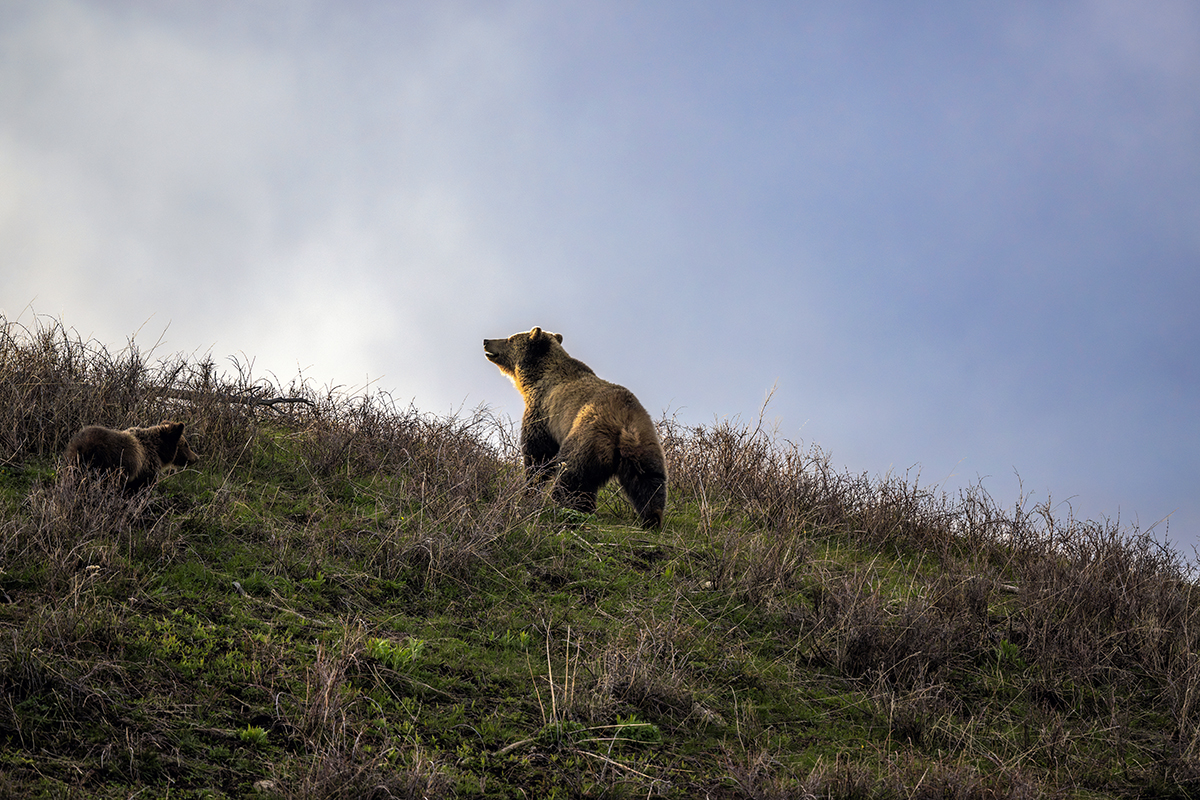 Z09_5092-Enhanced-NR copy 4.jpg