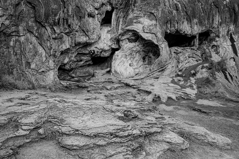 Z63_2860_BW_dw.jpg