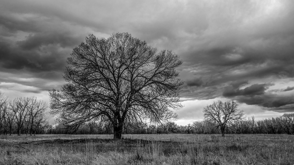 Z63_4430_BW_16x9_dw.jpg