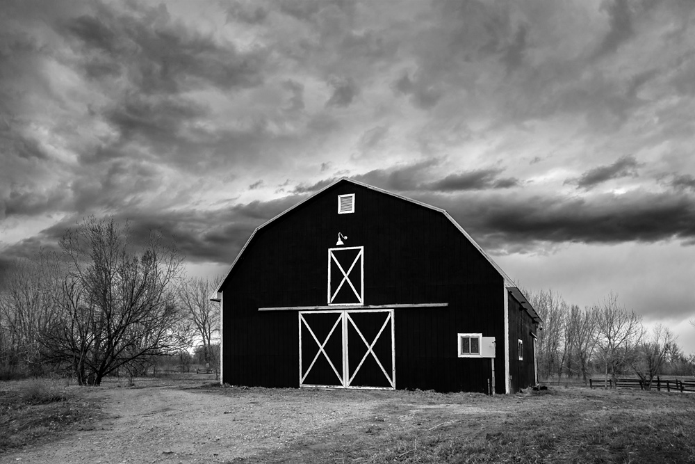 Z63_4495_BW_dw.jpg