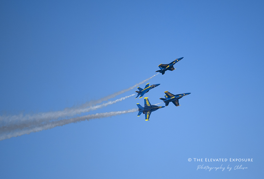Z72_8779 copy.jpg