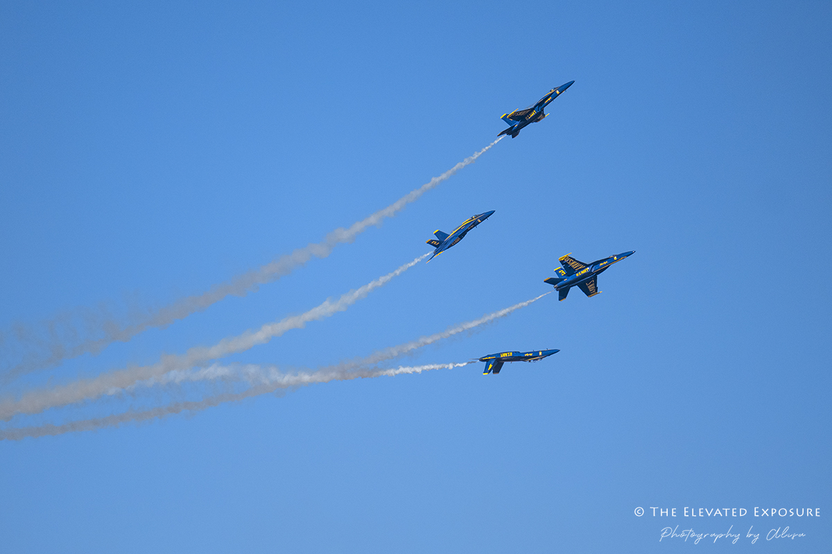 Z72_8782 copy.jpg