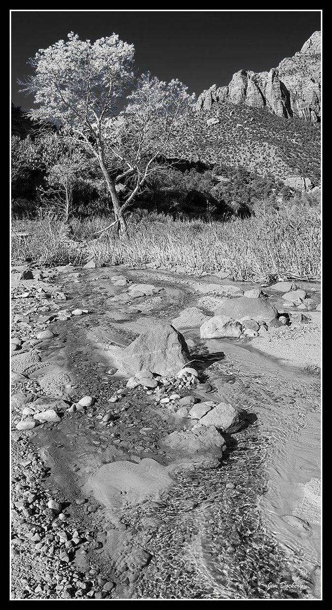 Zion-Tree-+-Stream_Pano1bw.jpg