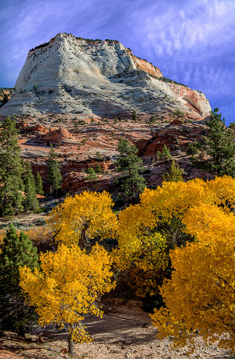zion vertical clouds.jpg