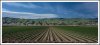 maricopafield.jpg