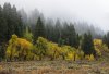 D85_3595-2.jpg