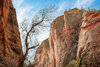 _DSC4136-Pano-Edit.jpg