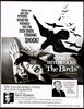 birds4.jpg