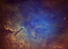 n6823shons2-D.jpg