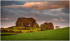 _DSC2958-1.jpeg