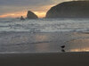 CA-AZ 25 006 DSC_2982 RP.jpg