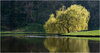 _DSC6707-1 copy.jpg