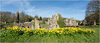6613 6614 panorama copy.jpg