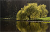 _DSC6710-1 copy.jpg