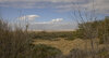 IMG_7203.jpg