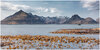 _DSC4878-1b.jpeg
