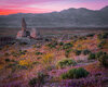 2026.03.13 - Trona Pinnacles 12.jpg