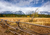 _DSC1075-Edit.jpg