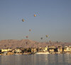IMG_7431.jpg