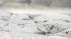_DSC7957-1 copy.jpg