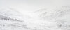 _DSC7961-1 copy.jpg