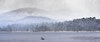 _DSC7881-1 copy.jpg