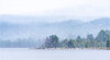 _DSC7905-1 copy.jpg