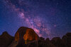 Z62_6599_dw.jpg