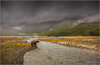 bearscape1a.jpg