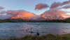 LRCC_sRGB_FW_TAP34621.jpg