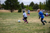_NZ85861_dw.jpg
