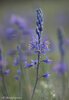 _DSC1562-sharpened.jpg