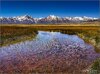 owensriver1.jpg