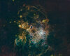 NGC2070 SHO Combi-LargeJPEG.jpg