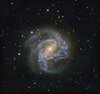 M83 Combi 2-LargeJPEG.jpg
