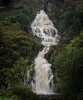 _DSC2316-1 copy.jpg