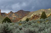 Or22-2-06_DSC7651.JPG
