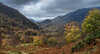 _DSC5295-1 copy.jpg