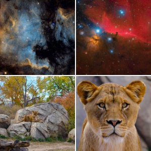 Daniel Drew Photography