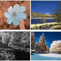 Infrared Images by Alan Lichty